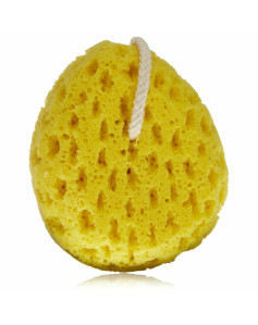 Body Sponge QVS 10-2030 (14 cm)