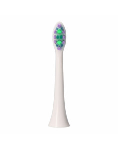 Replacement Head EDM 07618 Electric Toothbrush 2 Units