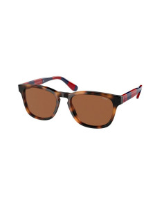 Men's Sunglasses Ralph Lauren PH4170-530373 Ø 53 mm